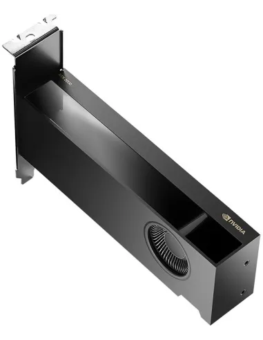 Tarjeta Gráfica Pny GeForce RTX 2000 Ada Generation