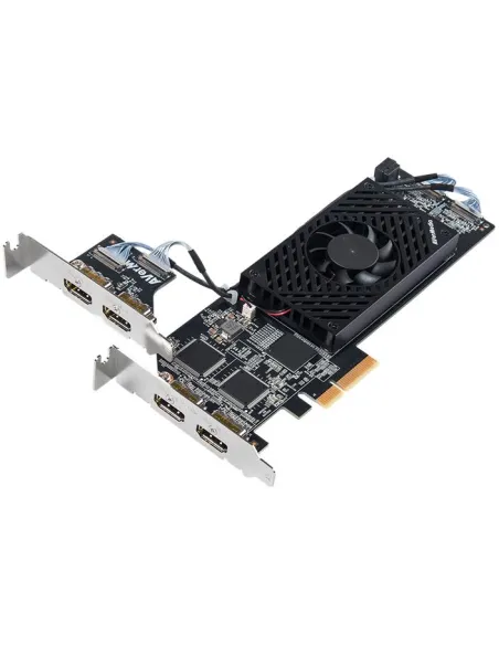 Capturadora de Vídeo Avermedia CL314H1