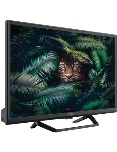 Televisor Strong SRT 24HE4023C