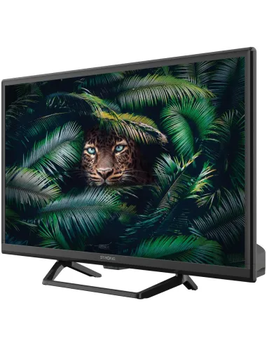 Televisor Strong SRT 24HE4023C