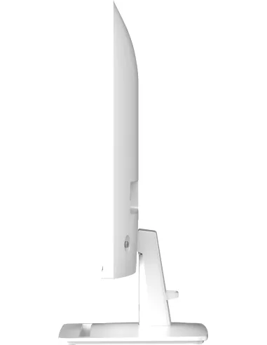 Monitor Msi Pro MP251W E2