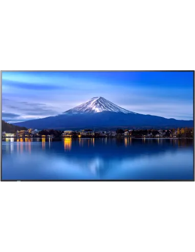 SHARP/NEC MultiSync P656 64.5" Pantalla de Señalización LED 4K UHD Negro