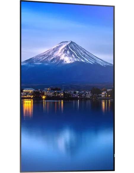 Pantalla Interactiva SHARP/NEC MultiSync P656