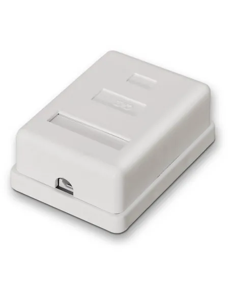 Roseta de Red Aisens A139-0303