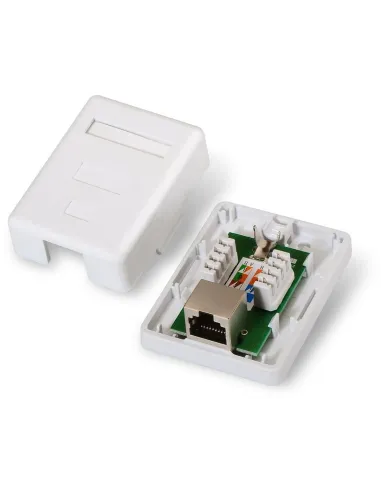 Roseta de Red Aisens A139-0303