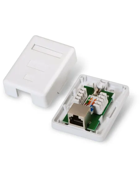 Roseta de Red Aisens A139-0303