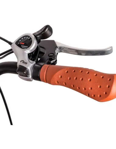 Bicicleta eléctrica Youin BK2128C