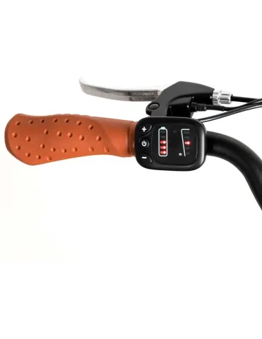 Bicicleta eléctrica Youin BK2128C