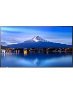 Sharp/nec MultiSync P556 55" Pantalla Interactiva 4K UHD Negro-1400447