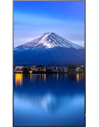 Pantalla Interactiva Sharp/nec MultiSync P556