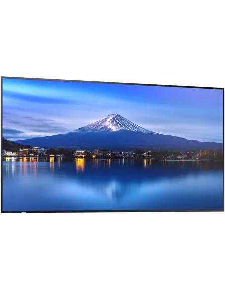 Pantalla Interactiva Sharp/nec MultiSync P556