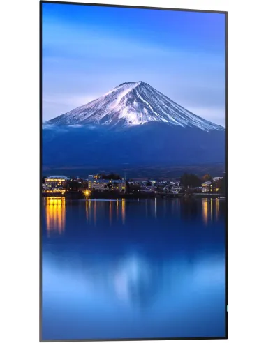 Pantalla Interactiva Sharp/nec MultiSync P556