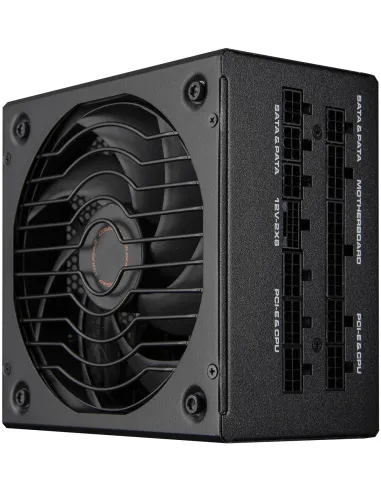 Fuente de Alimentación Cougar Gaming CGR GLE-1000