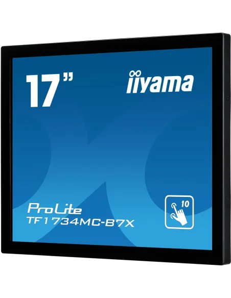 Monitor TPV Iiyama ProLite TF1734MC-B7X
