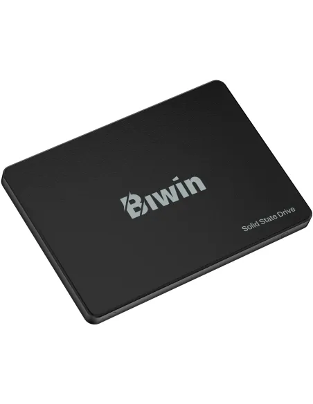 Disco Duro SSD Biwin M100 512GB BM100NN512G-RGX