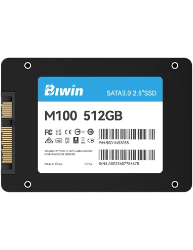 Disco Duro SSD Biwin M100 512GB BM100NN512G-RGX