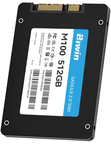 Disco Duro SSD Biwin M100 512GB BM100NN512G-RGX