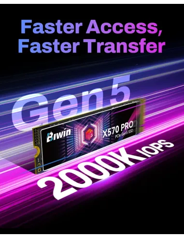 Disco Duro SSD Biwin X570 Pro 1TB