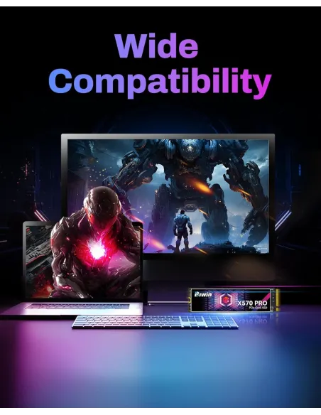 Disco Duro SSD Biwin X570 Pro 1TB