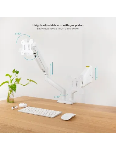 Soporte de Mesa Tooq DB1434TNR-W