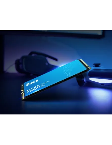 Disco Duro SSD Biwin M350 500GB BM350NN500G-RGX