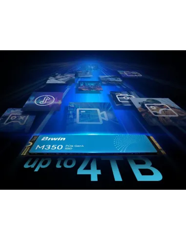 Disco Duro SSD Biwin M350 500GB BM350NN500G-RGX