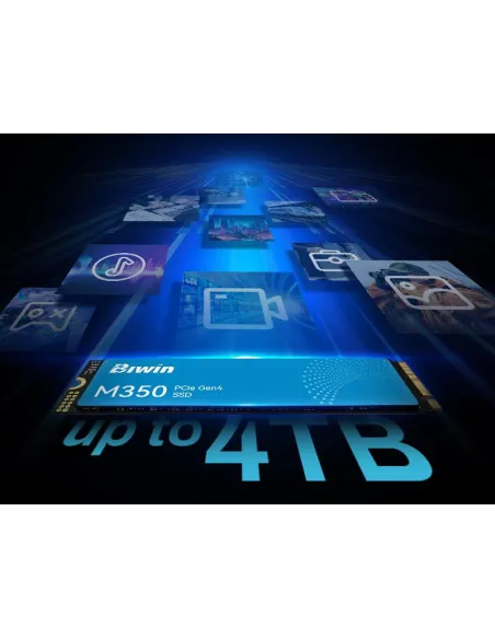 Disco Duro SSD Biwin M350 1TB BM350NN01TB-RGX