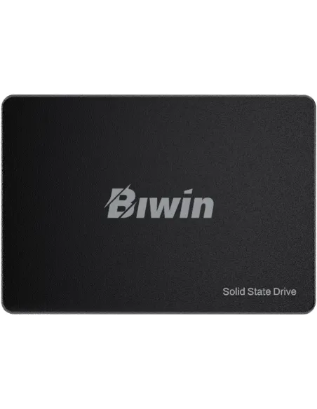 Biwin M100 BM100NN256G-RGX Disco SSD SATA3 2.5" 550MB/s Negro