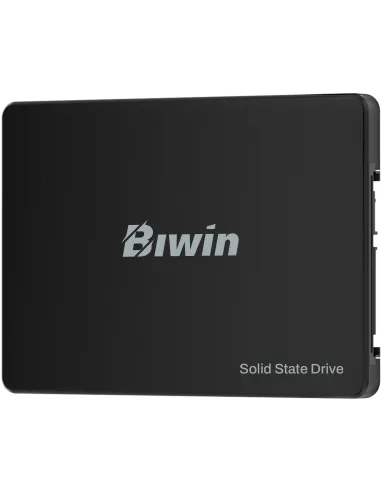 Disco Duro SSD Biwin M100 BM100NN256G-RGX