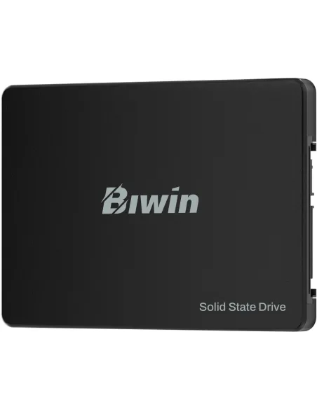 Disco Duro SSD Biwin M100 BM100NN256G-RGX