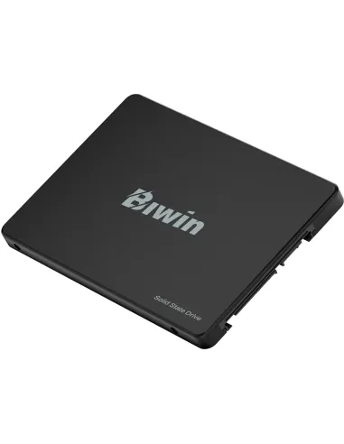 Disco Duro SSD Biwin M100 BM100NN256G-RGX