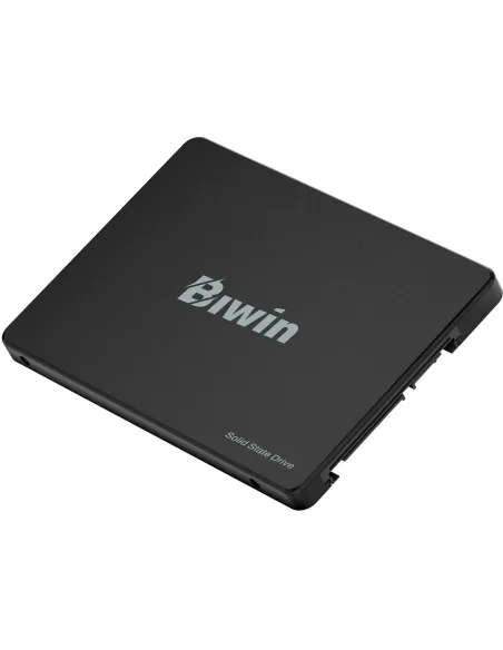 Disco Duro SSD Biwin M100 BM100NN256G-RGX