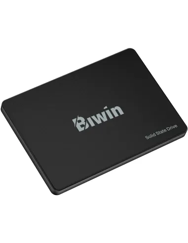 Disco Duro SSD Biwin M100 BM100NN256G-RGX