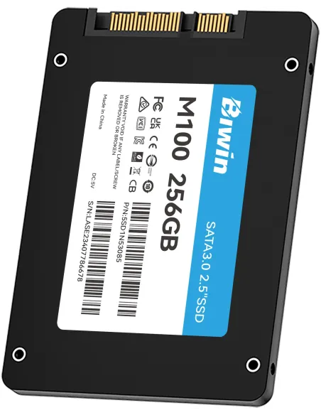 Disco Duro SSD Biwin M100 BM100NN256G-RGX