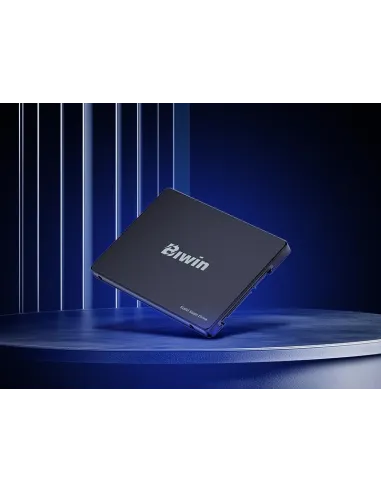 Disco Duro SSD Biwin M100 BM100NN256G-RGX