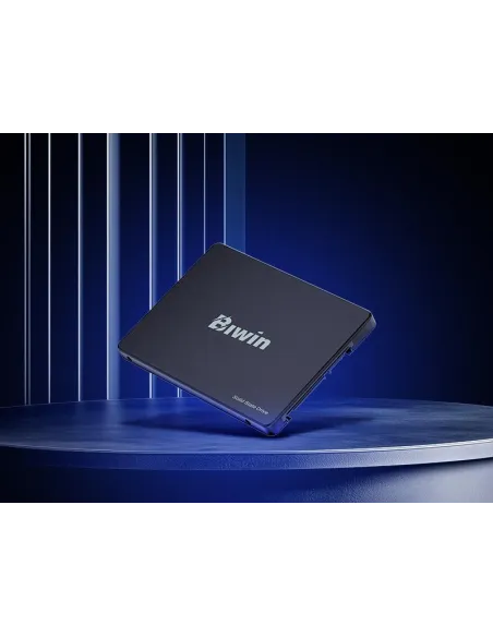 Disco Duro SSD Biwin M100 BM100NN256G-RGX