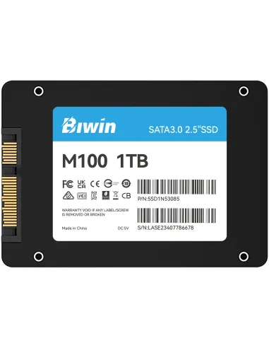 Disco Duro SSD Biwin M100 1TB BM100NN01TB-RGX