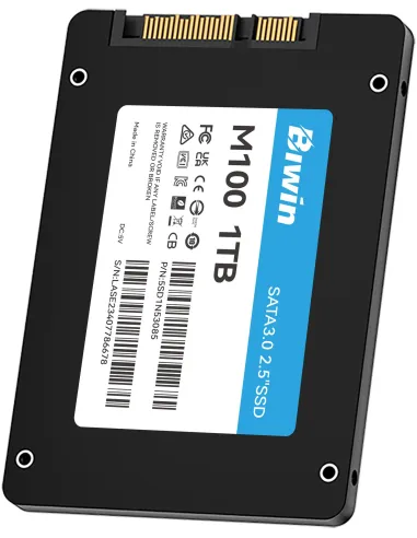 Disco Duro SSD Biwin M100 1TB BM100NN01TB-RGX