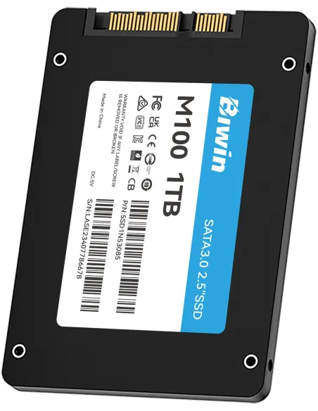 Disco Duro SSD Biwin M100 1TB BM100NN01TB-RGX