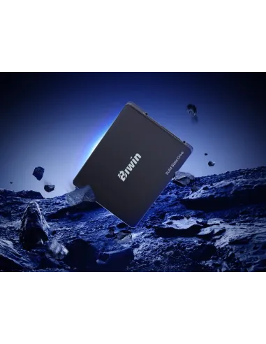 Disco Duro SSD Biwin M100 1TB BM100NN01TB-RGX