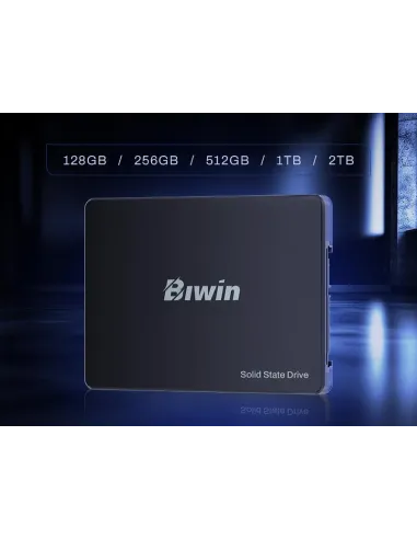 Disco Duro SSD Biwin M100 1TB BM100NN01TB-RGX