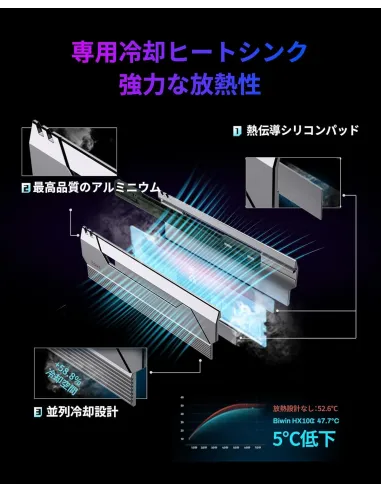 Memoria RAM Biwin Black Opal HX100 BXH53260HX1-D36DS