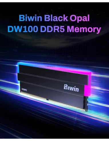 Memoria RAM Biwin DW100 Black Opal RGB BXL53260DW1-D36DB