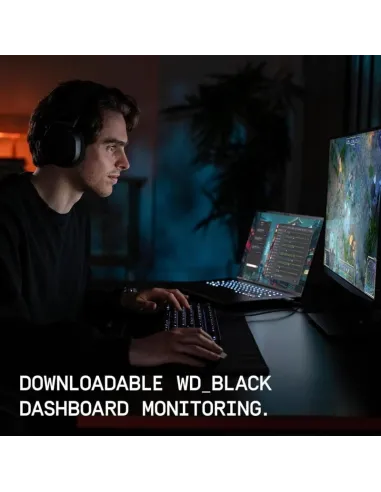 Disco Duro Sandisk SN7100 SSD 2TB
