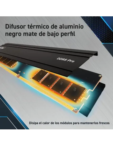 Crucial Pro CP2K24G56C46U5 DDR5 5600MHz 48GB (2x24GB) CL46 Negra
