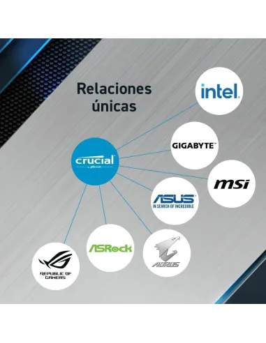 Crucial Pro CP2K24G56C46U5 DDR5 5600MHz 48GB (2x24GB) CL46 Negra