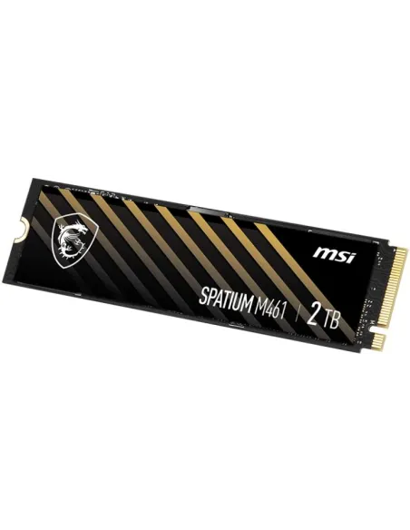 Disco Duro SSD MSI SPATIUM M461 2TB