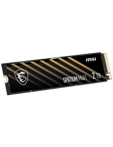 Disco Duro SSD MSI SPATIUM M461 2TB