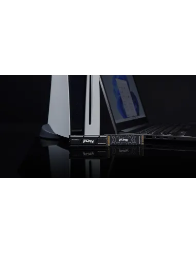 Disco Duro SSD Kingston Technology FURY Renegade 2TB