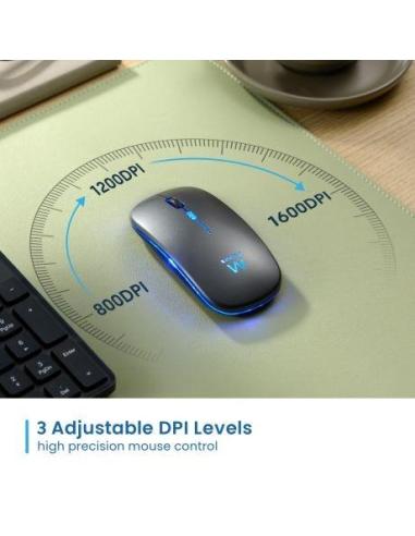 Ewent EW3242 Ratón Inalámbrico USB-A 1600 DPI